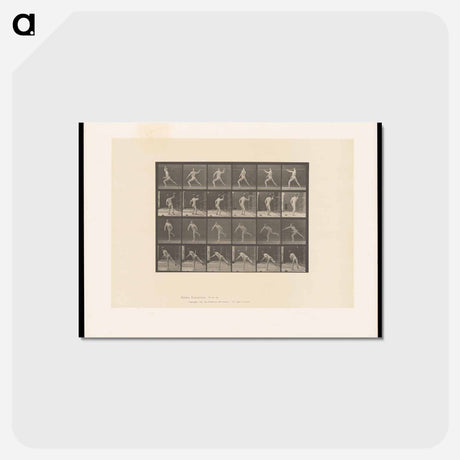 アートポストカード-Javelin Thrower
 - エドワード マイブリッジ Postcard.