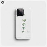 Lilium penduliflorum - ピエール ジョゼフ ルドゥーテ Phone Case.