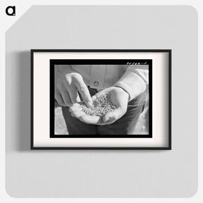 アートポスター-Guayule "Worms"
 - ラッセル リー Poster.
