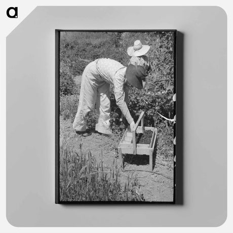 アートパネル-Guayule "Worms"
 - ラッセル リー Canvas.