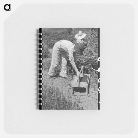 アートメモ帳-Guayule "Worms"
 - ラッセル リー Memo.