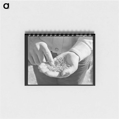 アートメモ帳-Bull Snake
 - ラッセル リー Memo.