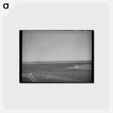 アートポストカード-Wheat Land, Eureka Flats
 - ラッセル リー Postcard.