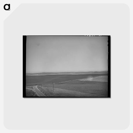 アートポストカード-Wheat Land, Eureka Flats
 - ラッセル リー Postcard.