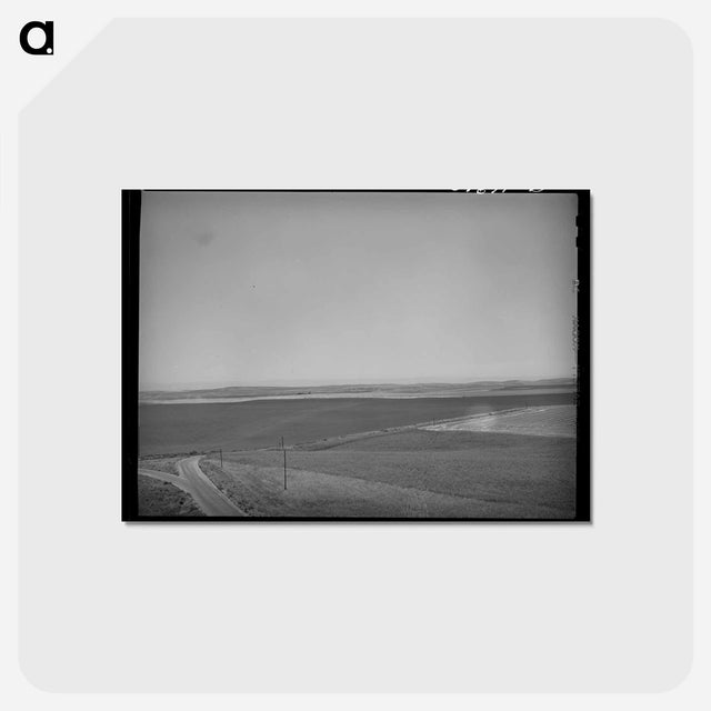 アートポストカード-Wheat Land, Eureka Flats
 - ラッセル リー Postcard.