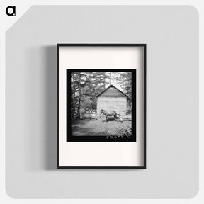 アートポスター-Untitled photo, possibly related to: Young son of tenant farmer gathering sticks for workers to string tobacco on. Granville County, North Carolina - ドロテア ラング Poster.