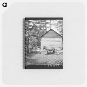アートメモ帳-Untitled photo, possibly related to: Young son of tenant farmer gathering sticks for workers to string tobacco on. Granville County, North Carolina - ドロテア ラング Memo.