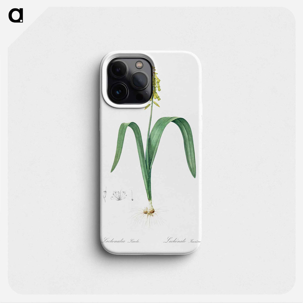Opal flower illustration - Pierre Joseph Redouté Phone Case.