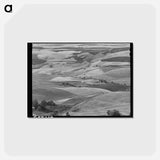 アートポストカード-Wheat Land
 - ラッセル リー Postcard.