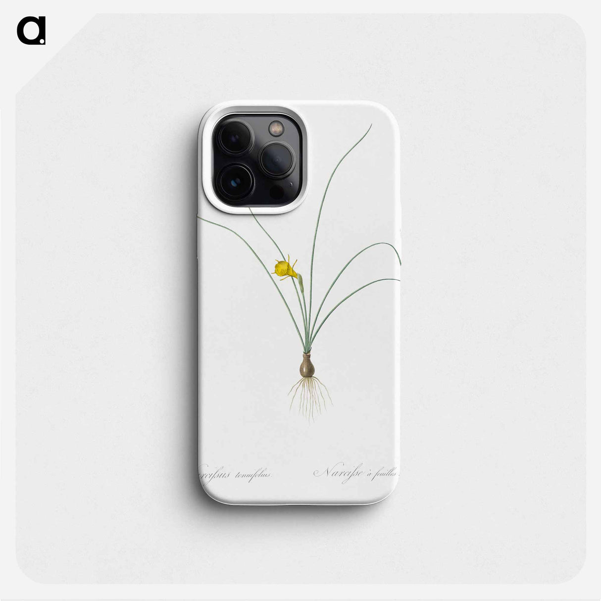 Petticoat daffodil illustration from Les liliacées - Pierre Joseph Redouté Phone Case.