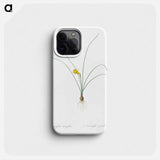 Petticoat daffodil illustration from Les liliacées - Pierre Joseph Redouté Phone Case.