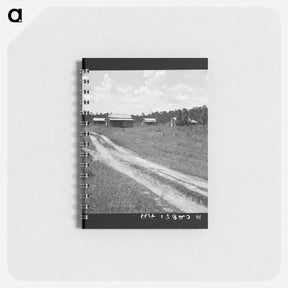 アートメモ帳-Untitled photo - ドロテア ラング Memo.