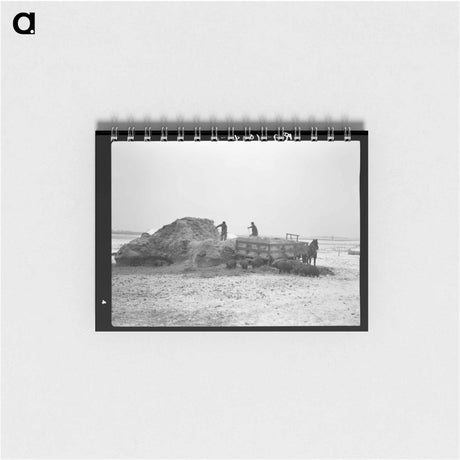 アートメモ帳-Corn Growing on Cut-Over Land
 - ラッセル リー Memo.