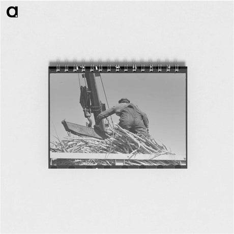 アートメモ帳-Packing Shed of Fruit Farmer
 - ラッセル リー Memo.