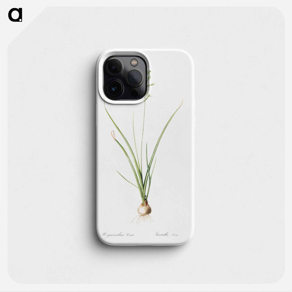 Hyacinthus viridis illustration from Les liliacées - Pierre-Joseph Redouté Phone Case.