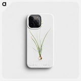 Hyacinthus viridis illustration from Les liliacées - Pierre-Joseph Redouté Phone Case.