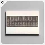 アートパネル-Naked Man Walking
 - エドワード マイブリッジ Canvas.