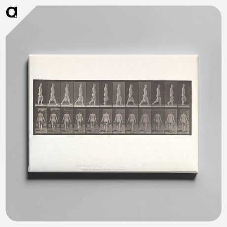 アートパネル-Naked Man Walking
 - エドワード マイブリッジ Canvas.