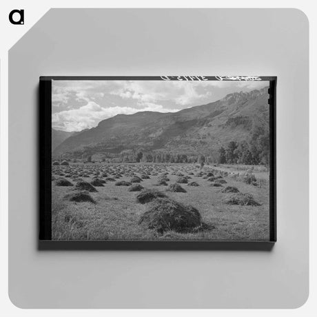 アートパネル-Douglas County Fir Trees
 - ラッセル リー Canvas.