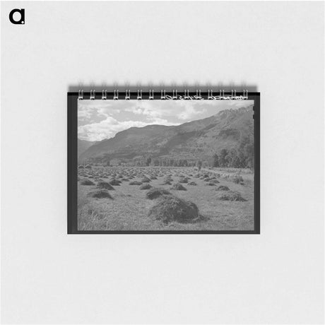 アートメモ帳-Douglas County Fir Trees
 - ラッセル リー Memo.