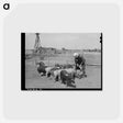 アートポストカード-Bosley's Hogs
 - ラッセル リー Postcard.