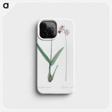 Epidendrum bifidum illustration - ピエール ジョゼフ ルドゥーテ Phone Case.