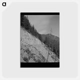 アートポストカード-Willamette National Forest
 - ラッセル リー Postcard.