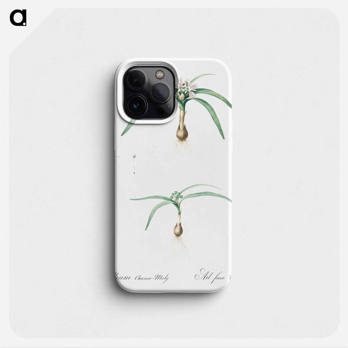 Dwarf garlic illustration - ピエール ジョゼフ ルドゥーテ Phone Case.