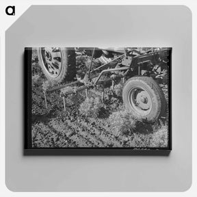 アートパネル-Casa Grande Valley Farms Meat Locker
 - ラッセル リー Canvas.