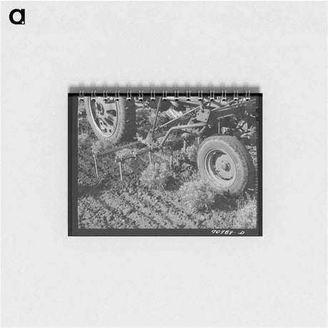 アートメモ帳-Casa Grande Valley Farms Meat Locker
 - ラッセル リー Memo.