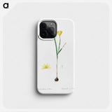 Cape tulip illustration - Pierre Joseph Redouté Phone Case.