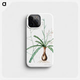 Wavy-leafed soap plant illustration - ピエール ジョゼフ ルドゥーテ Phone Case.