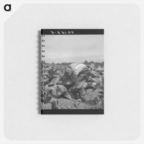 アートメモ帳-Untitled photo - ドロテア ラング Memo.