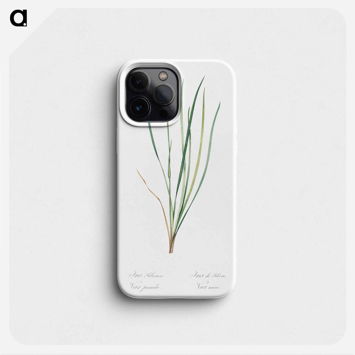 Siberian iris illustration - Pierre Joseph Redouté Phone Case.