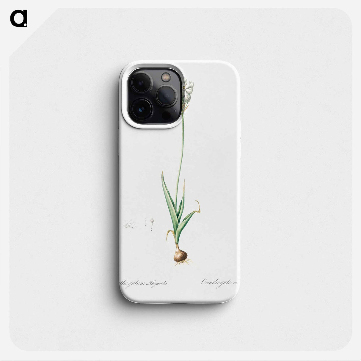 Chincherinchee illustration from Les liliacées - Pierre Joseph Redouté Phone Case.
