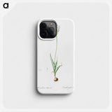 Chincherinchee illustration from Les liliacées - Pierre Joseph Redouté Phone Case.