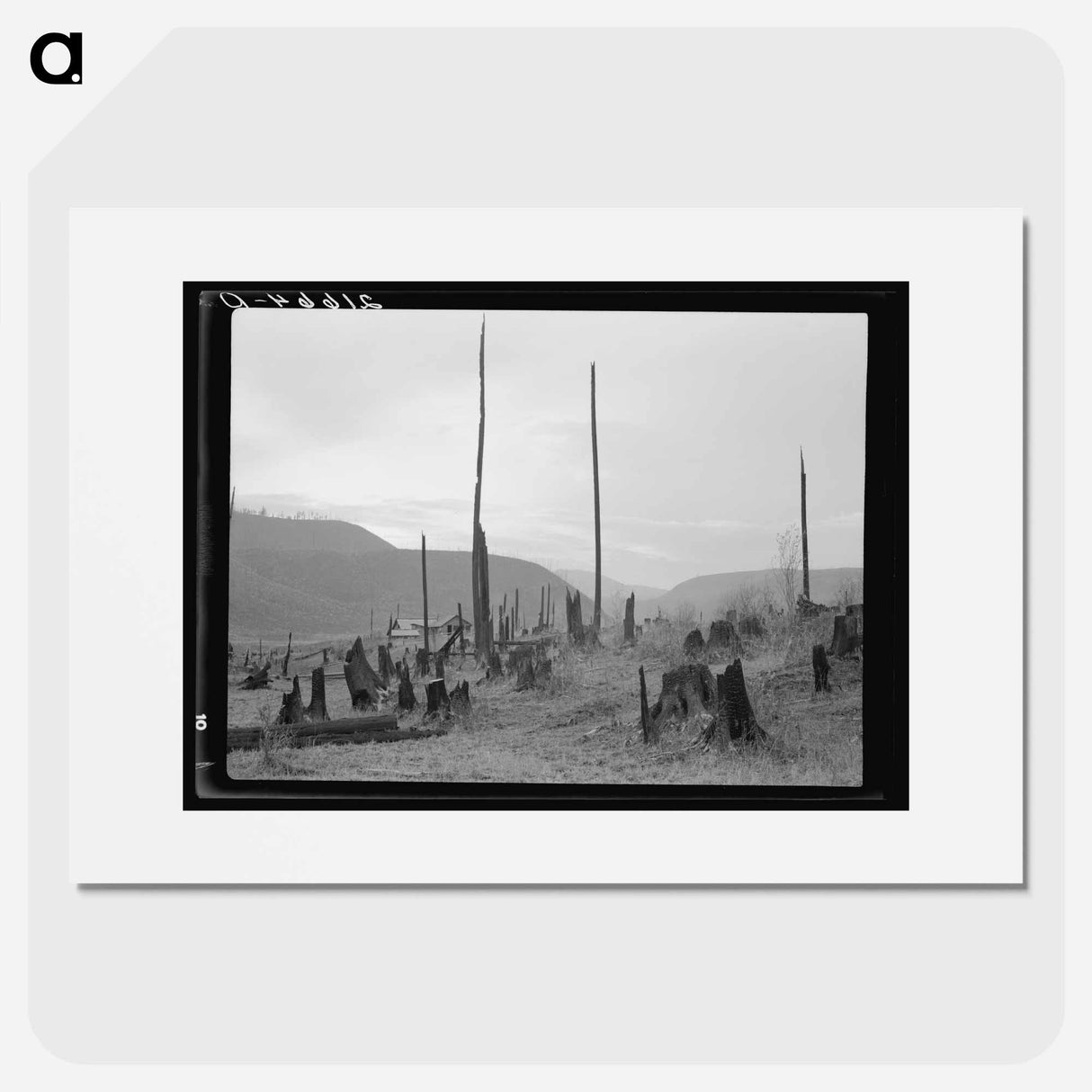 View of the Halley farm - Dorothea Lange Poster.