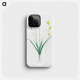 Torrey's craglily illustration - Pierre Joseph Redouté Phone Case.