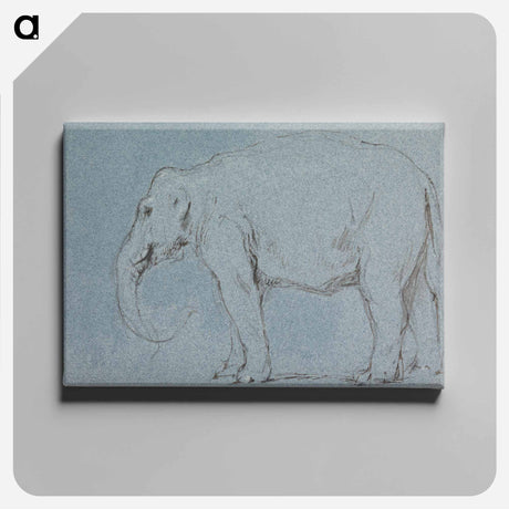 アートパネル-An Elephant
 - イェール大学アートギャラリー Canvas.