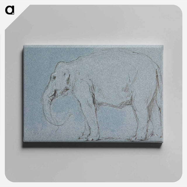 アートパネル-An Elephant
 - イェール大学アートギャラリー Canvas.