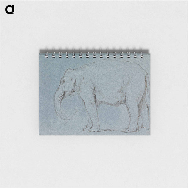 アートメモ帳-An Elephant
 - イェール大学アートギャラリー Memo.