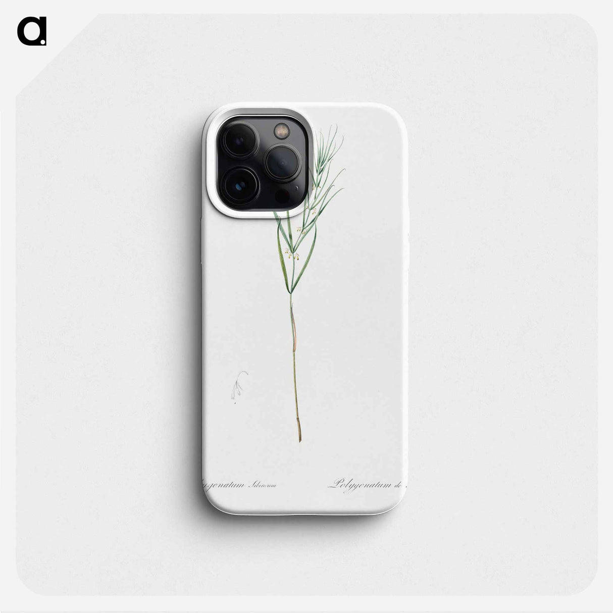 Siberian solomon's seal illustration - ピエール ジョゼフ ルドゥーテ Phone Case.