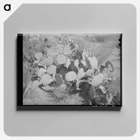 アートパネル-Farmer and His Barn
 - ラッセル リー Canvas.