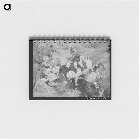 アートメモ帳-Farmer and His Barn
 - ラッセル リー Memo.