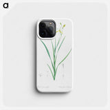 Ixia anemonae flora illustration - ピエール ジョゼフ ルドゥーテ Phone Case.