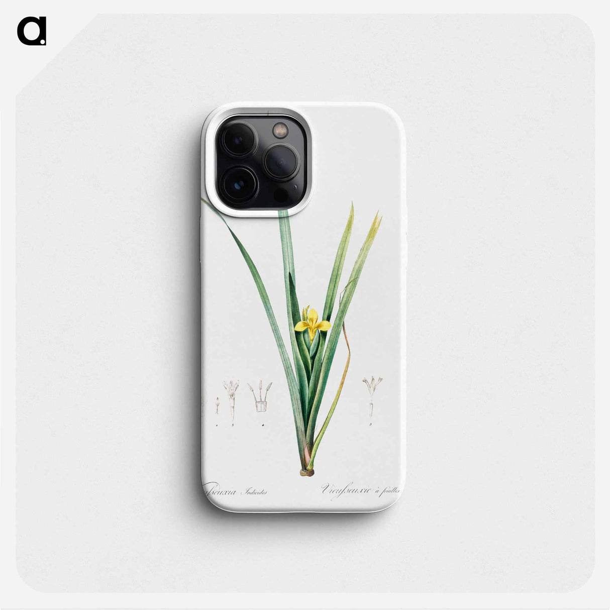 Yellow iris illustration - ピエール ジョゼフ ルドゥーテ Phone Case.