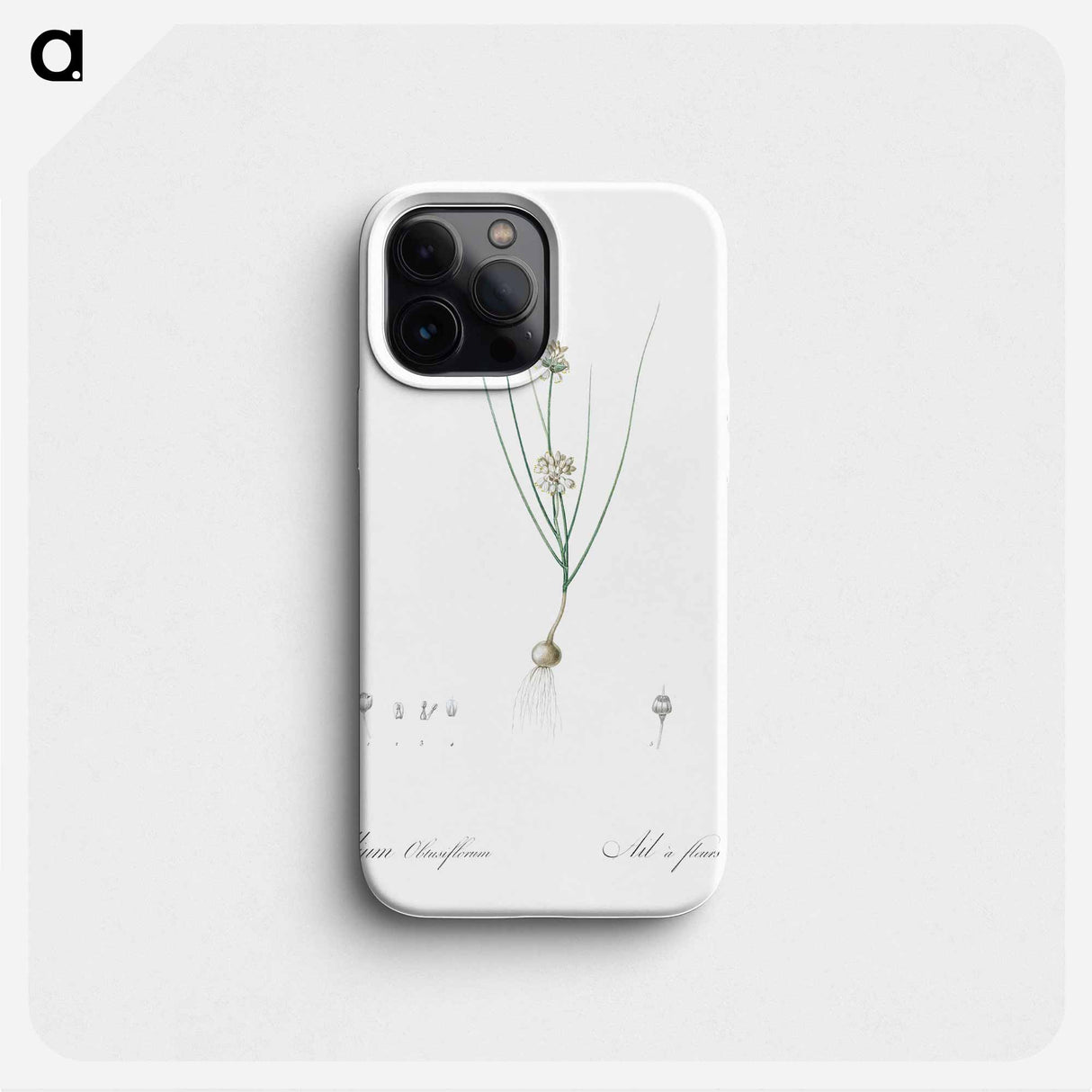 Allium obtusiflorum illustration - ピエール ジョゼフ ルドゥーテ Phone Case.