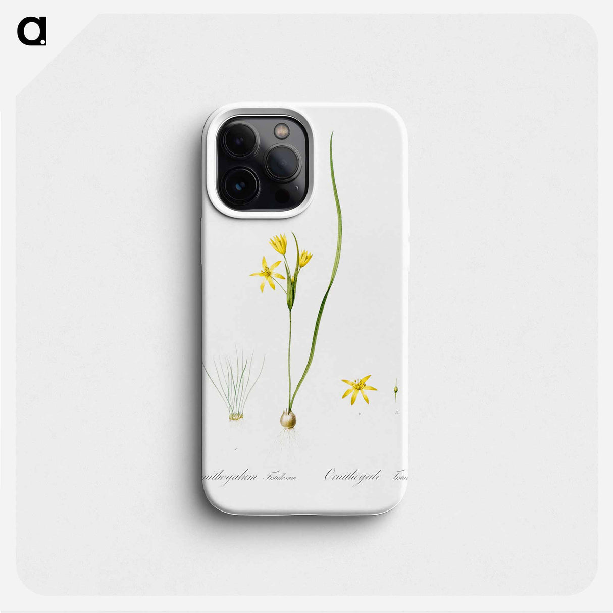 Wonder flower illustration - Pierre Joseph Redouté Phone Case.