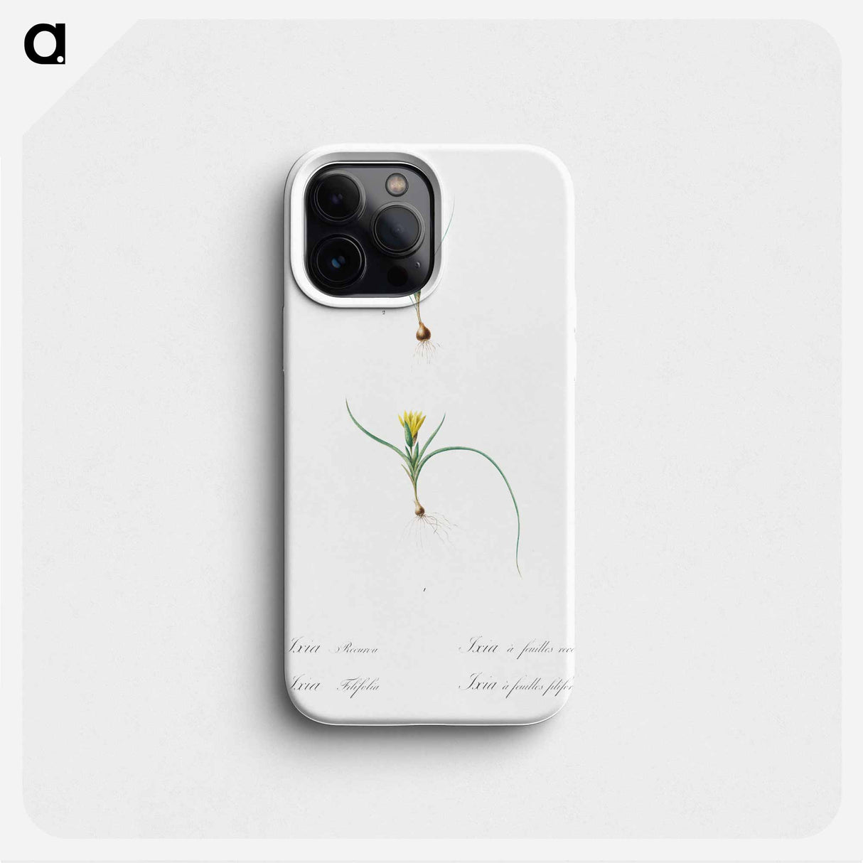 Ixia recurva 2. Ixia filifolia illustration from Les liliacées - Pierre-Joseph Redouté Phone Case.