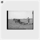アートポストカード-Tenant Farmer Harrowing
 - ラッセル リー Postcard.